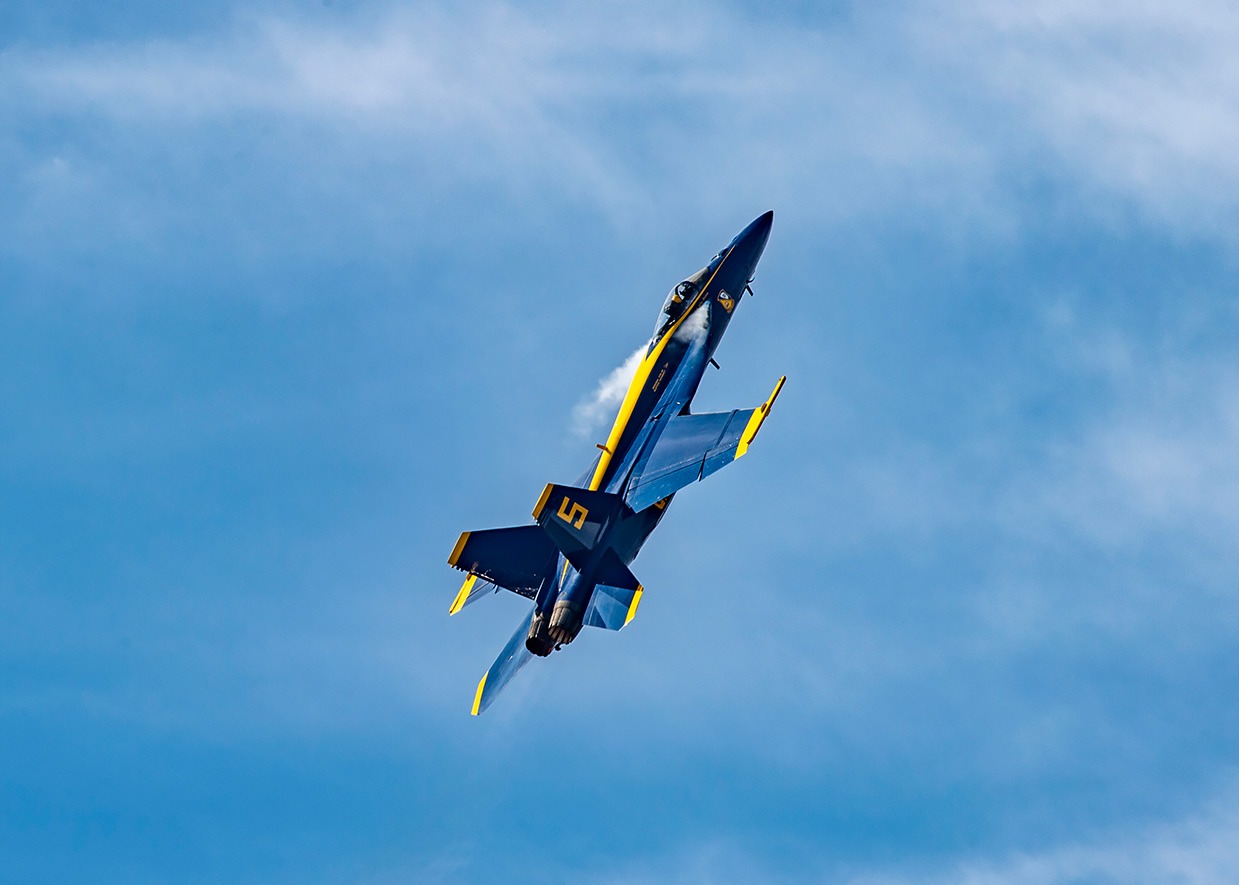 Blue Angels Wings Over North Georgia shutdown